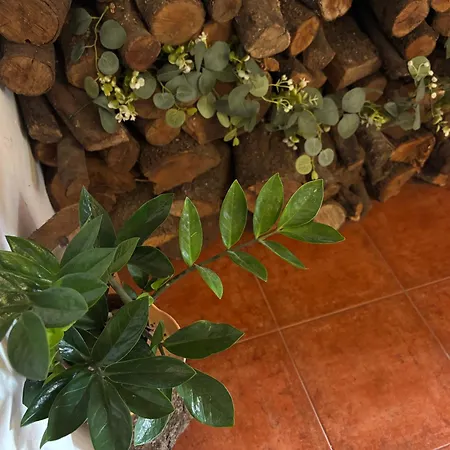 Espejo Del Tietar